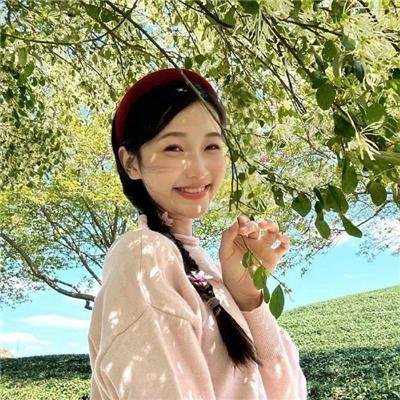 黑暗动物